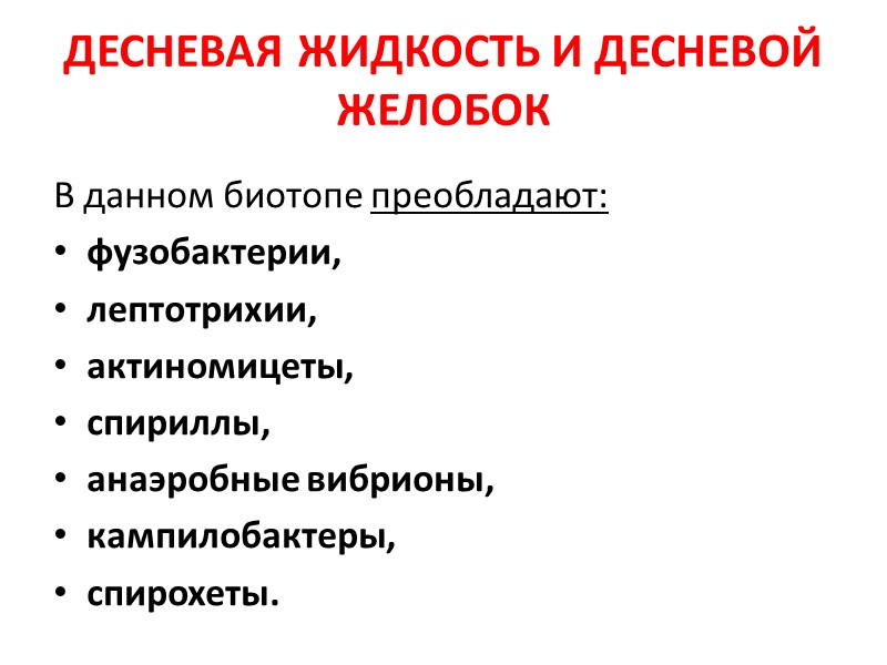 ДЕСНЕВАЯ ЖИДКОСТЬ И ДЕСНЕВОЙ ЖЕЛОБОК  В данном биотопе преобладают: фузобактерии,  лептотрихии, 